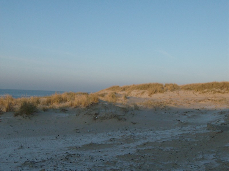 Wintertexel 015